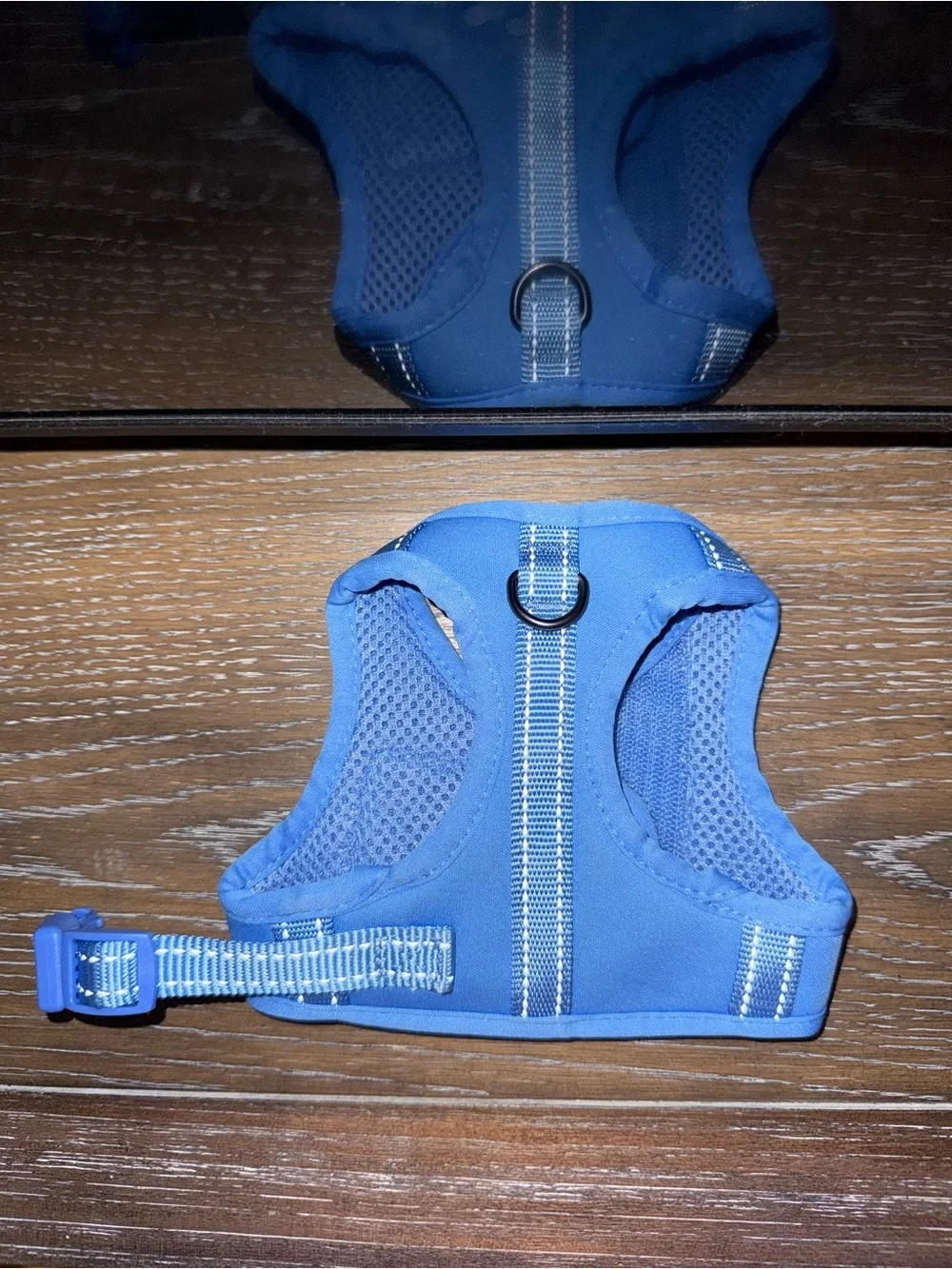Boots & Barkley Blue Padded Dog Harness